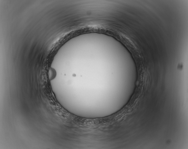 X0000115760776200911271116