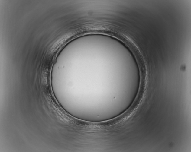 X0000115760777200911271116