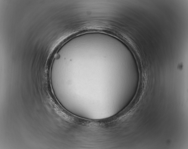 X0000115760779200911271116