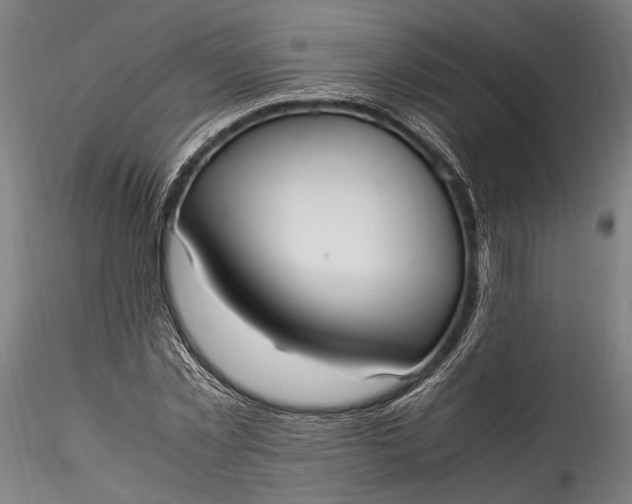 X0000115760781200911271116