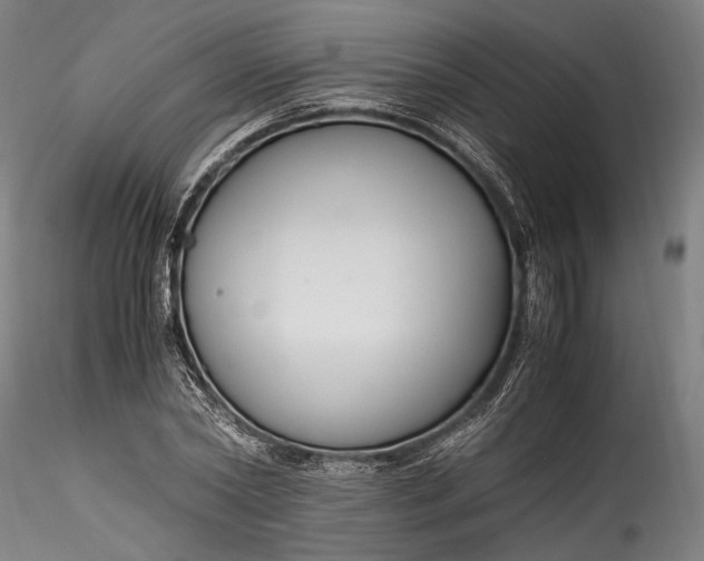 X0000115760782200911271116