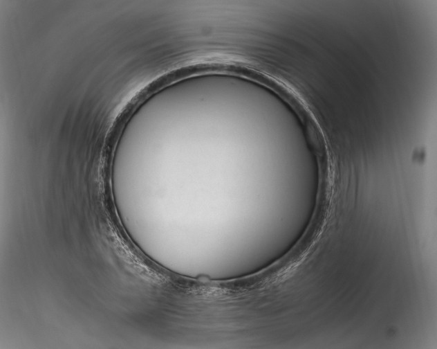 X0000115760783200911271116