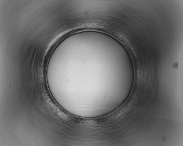 X0000115760784200911271116