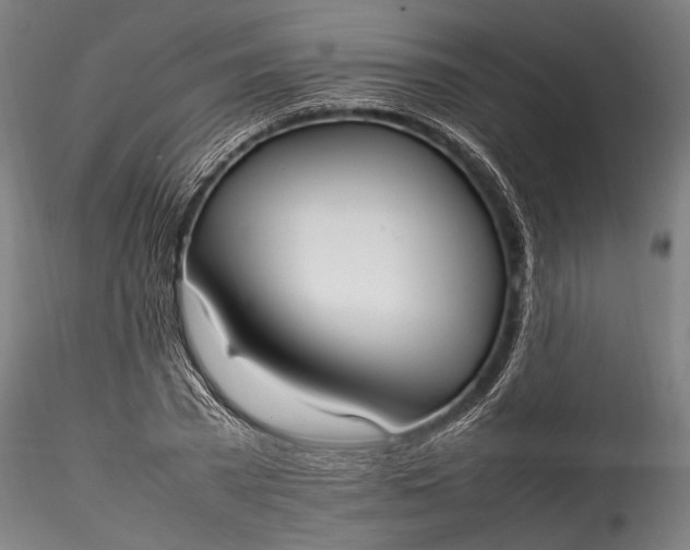 X0000115760785200911271116