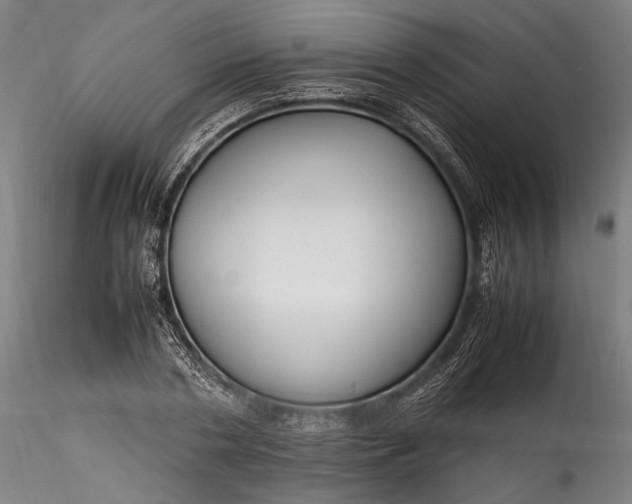 X0000115760786200911271116