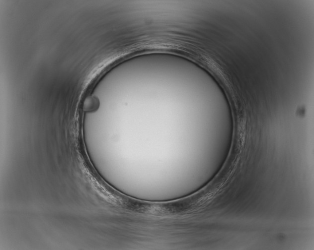 X0000115760787200911271116