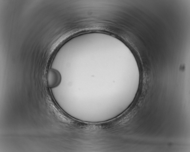 X0000115760789200911271116