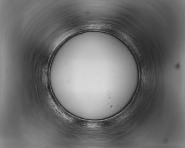 X0000115760794200911271115