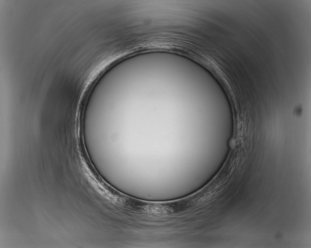 X0000115760795200911271115