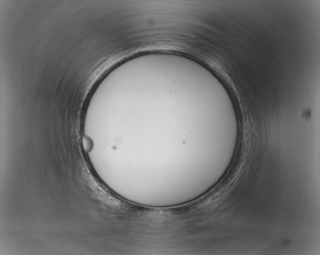 X0000115760797200911271115