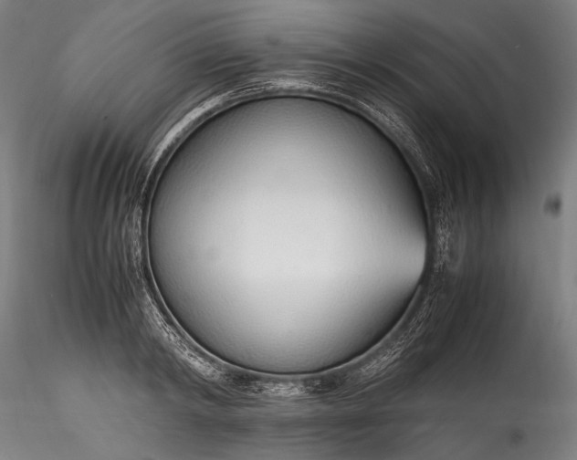 X0000115760798200911271115