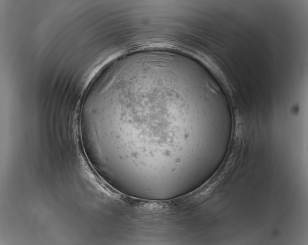 X0000115760806200911271115