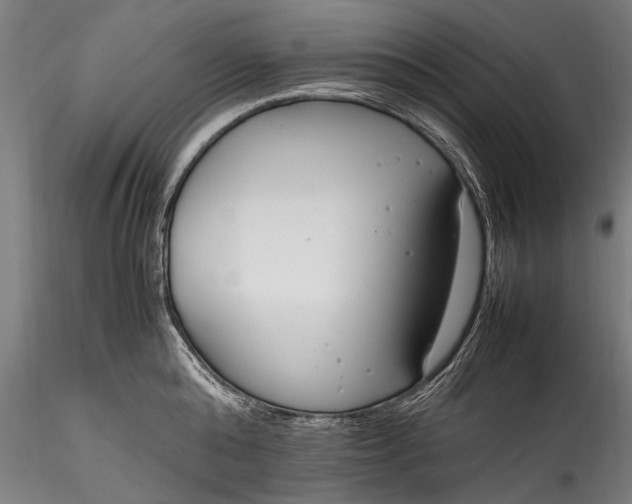 X0000115760808200911271115