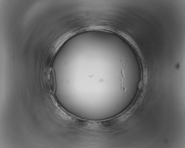 X0000115760809200911271115