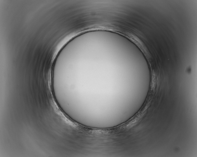 X0000115760812200911271115