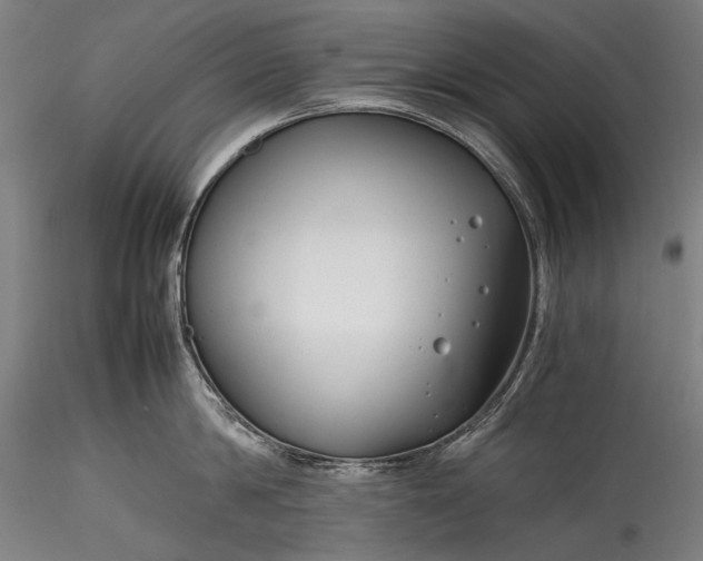 X0000115760814200911271115