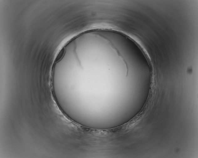 X0000115760815200911271115