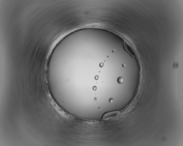 X0000115760816200911271115