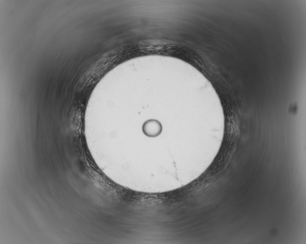 X0000115760820200911271114