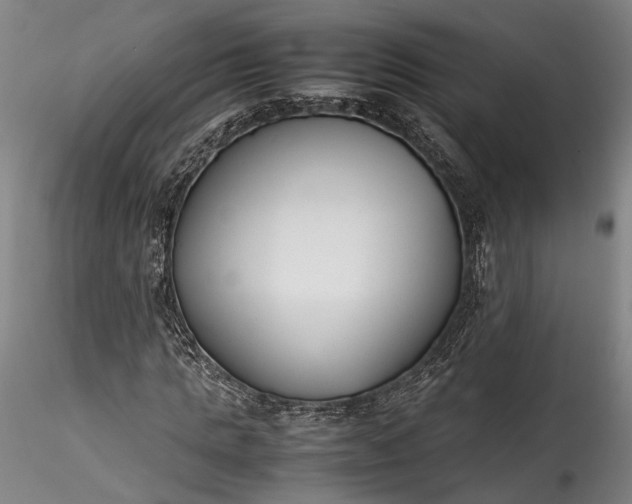 X0000115760821200911271114