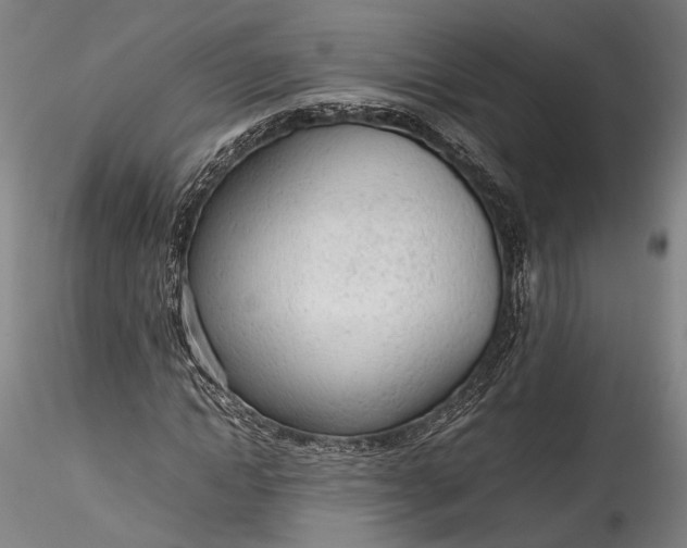 X0000115760822200911271114