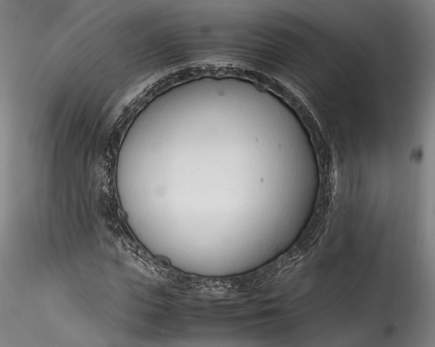 X0000115760823200911271114