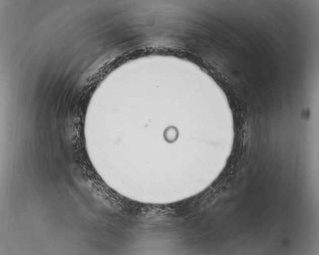 X0000115760824200911271114