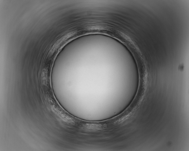 X0000115760825200911271114