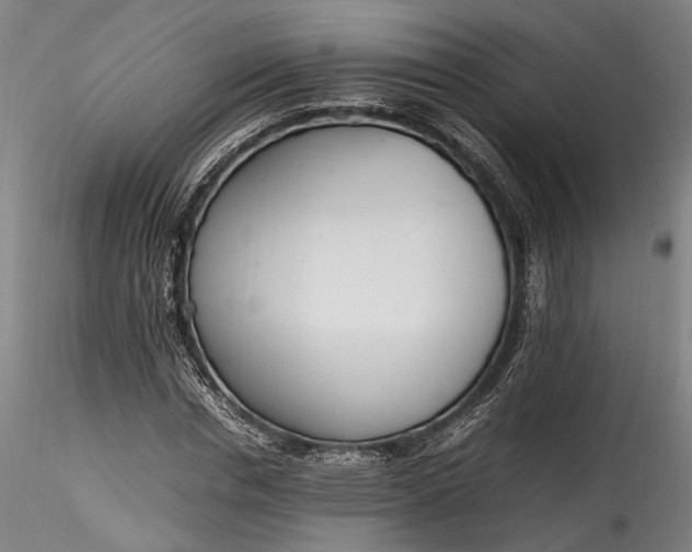 X0000115760826200911271114