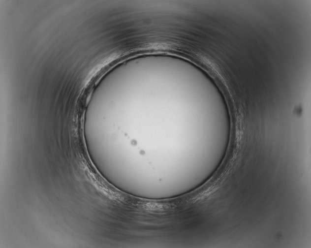 X0000115760827200911271114