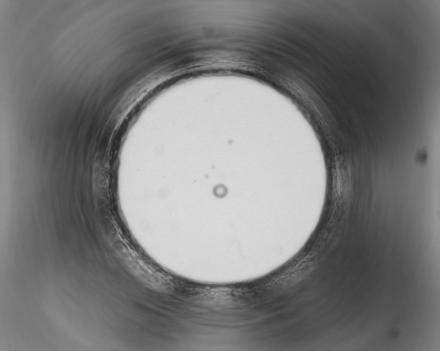 X0000115760828200911271114