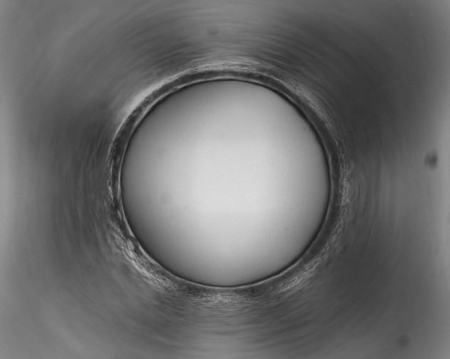 X0000115760830200911271115