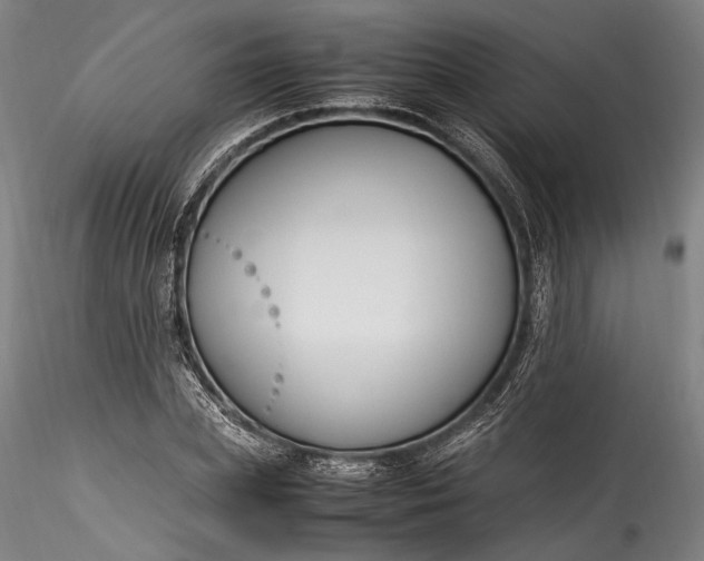 X0000115760831200911271115