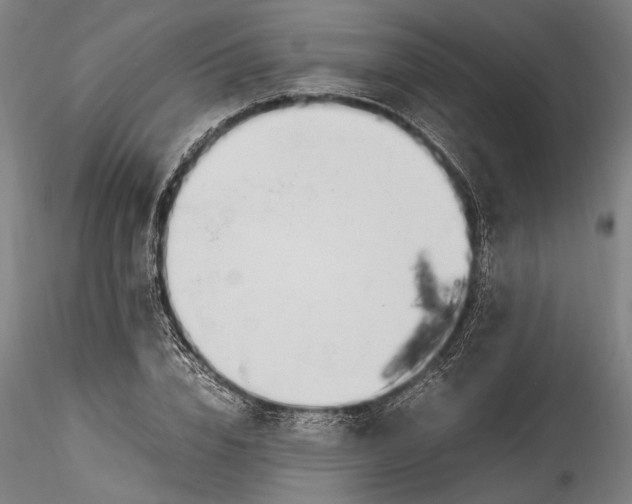 X0000115760832200911271115