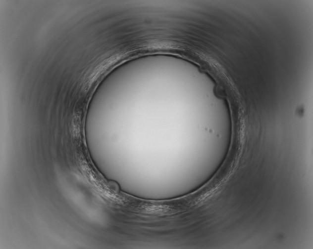 X0000115760833200911271115