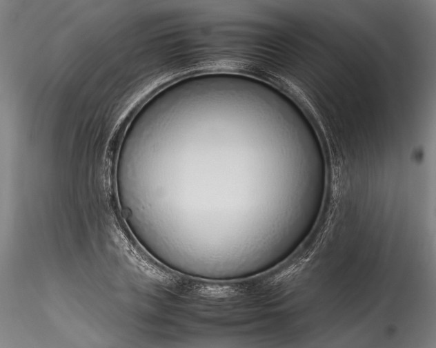 X0000115760835200911271115