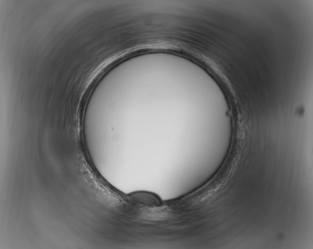 X0000115760837200911271115