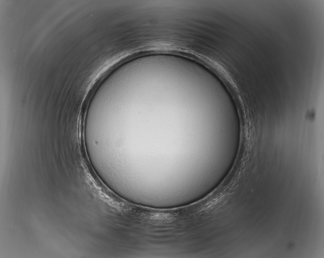 X0000115760839200911271115