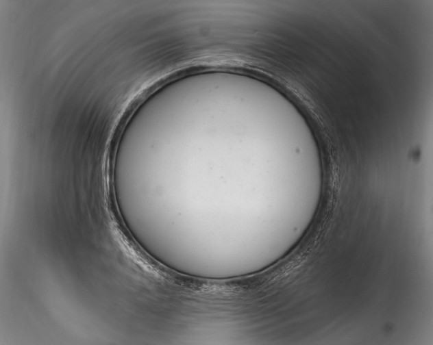 X0000115760840200911271115