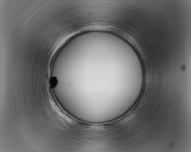 X0000115760844200911271115