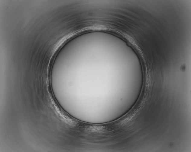 X0000115760845200911271115