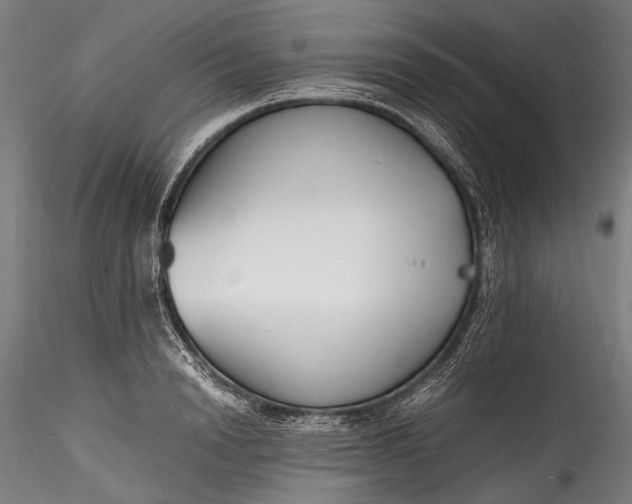 X0000115760846200911271115