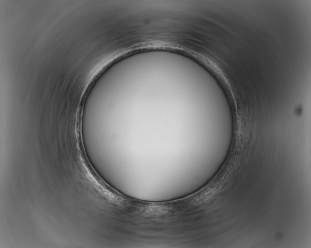 X0000115760847200911271115