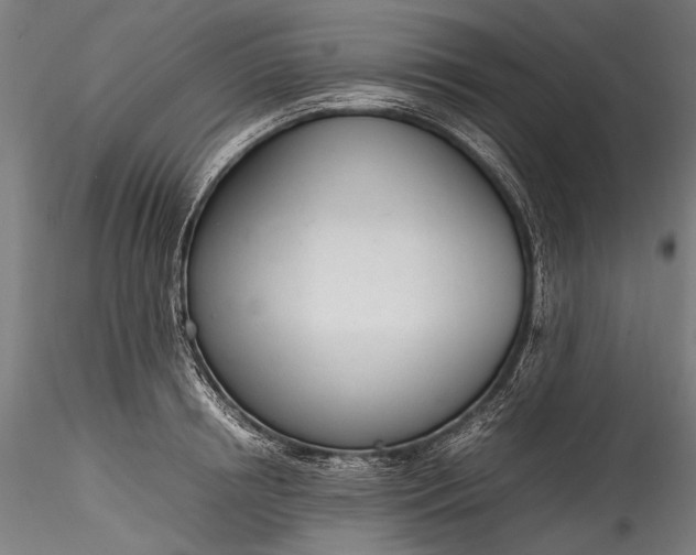 X0000115760850200911271115