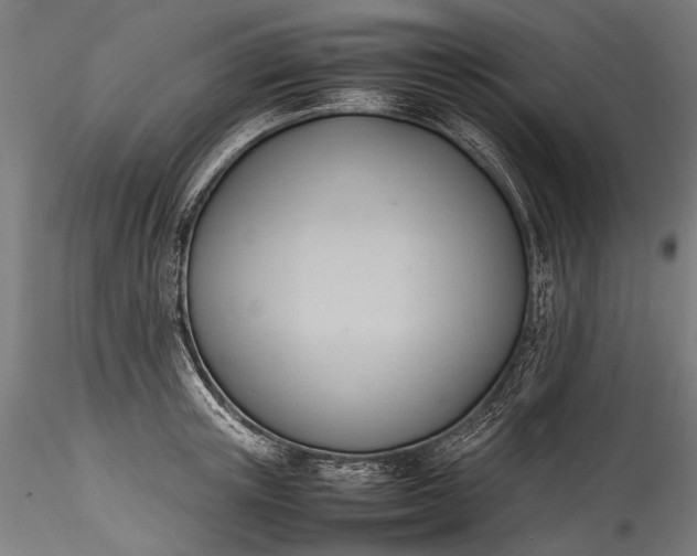 X0000115760851200911271115