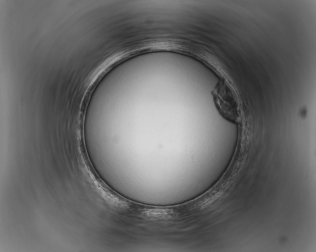 X0000115760853200911271115