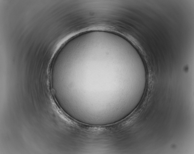 X0000115760854200911271115