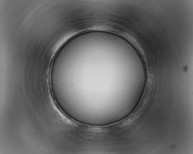 X0000115760855200911271115