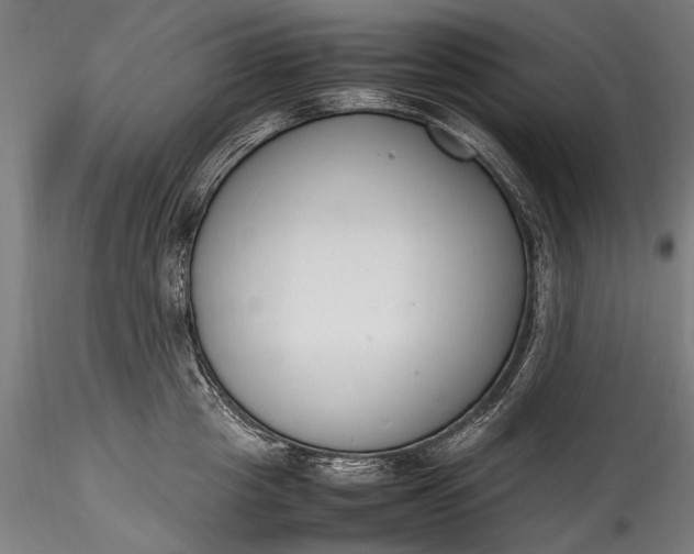 X0000115760857200911271115