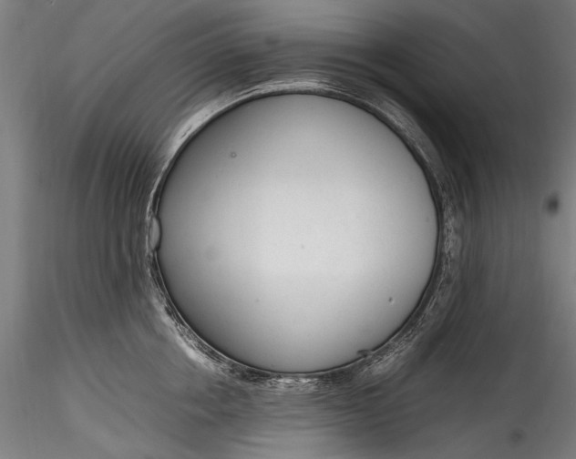 X0000115760858200911271115